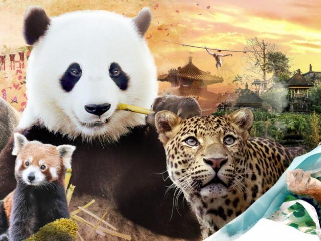 Un Jardin Des Mondes Pairi Daiza Hero