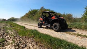 Buggy