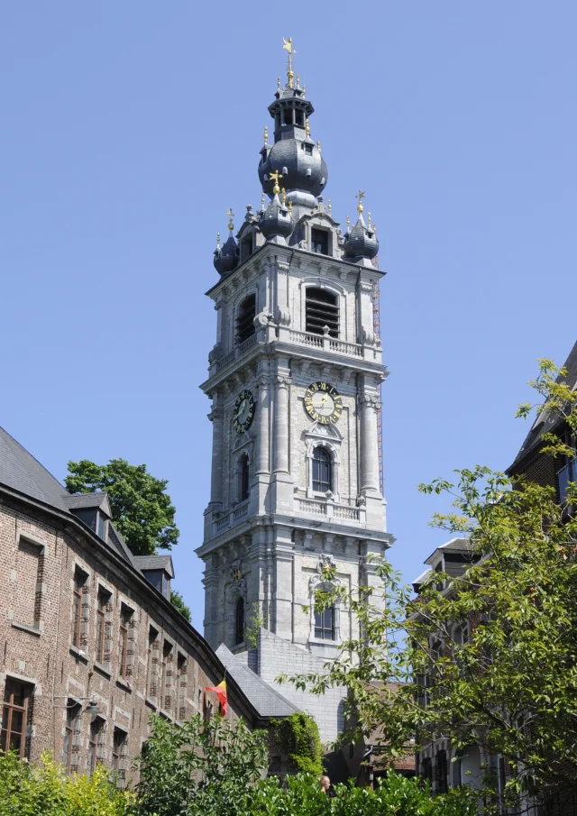 Vue du Beffroi de Mons