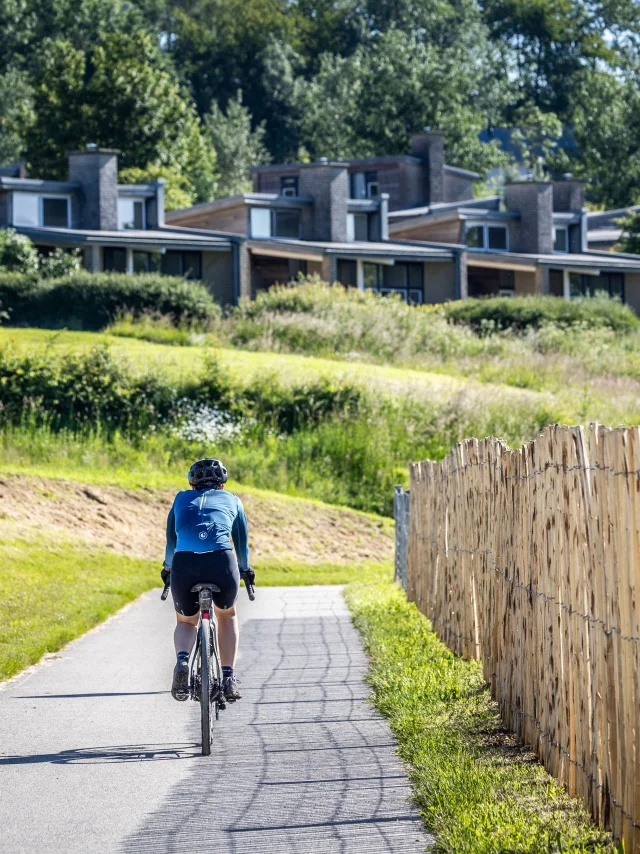 Plate Taille_Ravel Lacs de l'Eau d'Heure