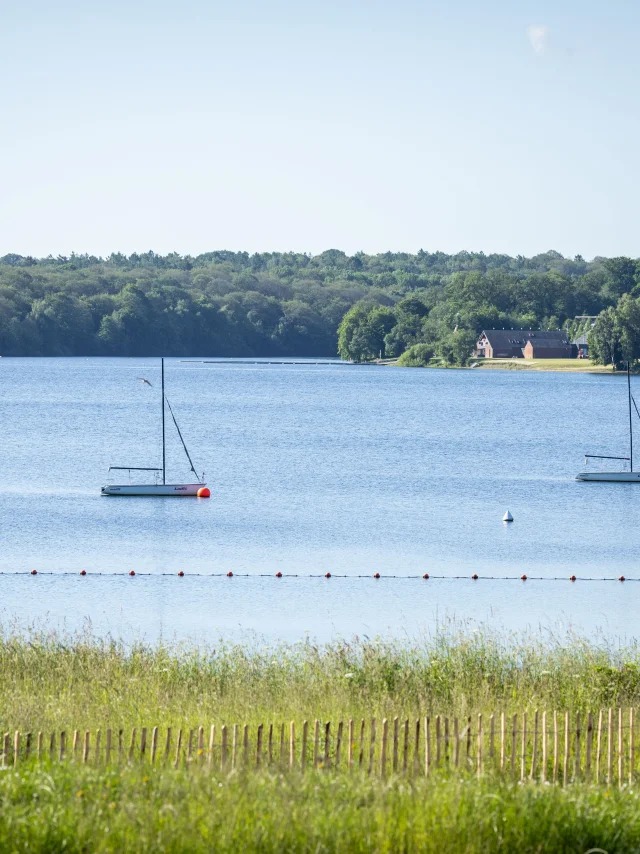 Paysage des Lacs -bateaux à voile