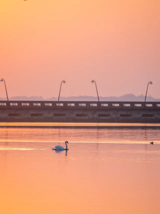 Paysage des Lacs -levée de soleil